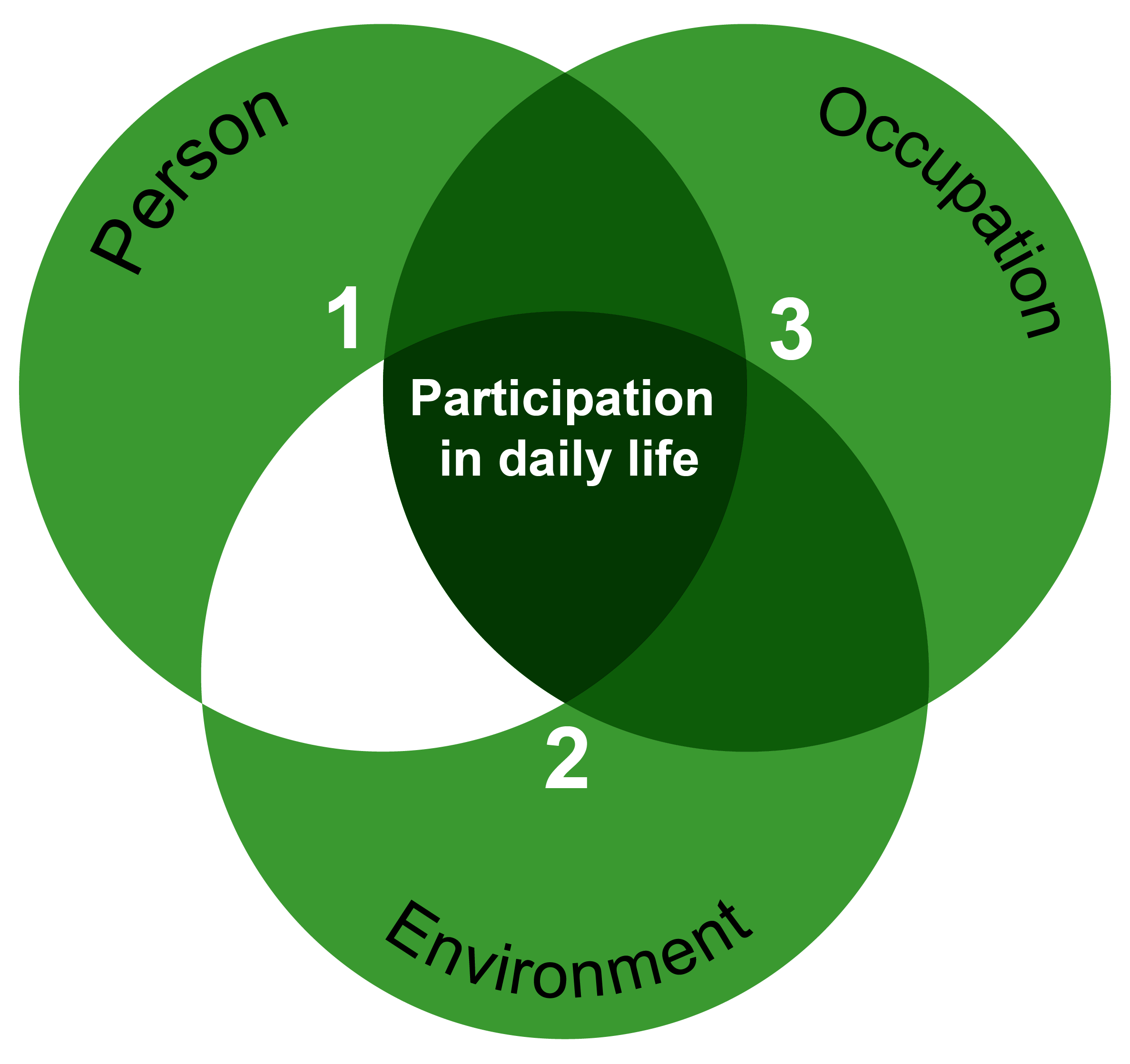 A Venn diagram titled "Occupational therapy approach (PEO model)" consisting of three overlapping green circles. Each circle represents a key component of the occupational therapy model.