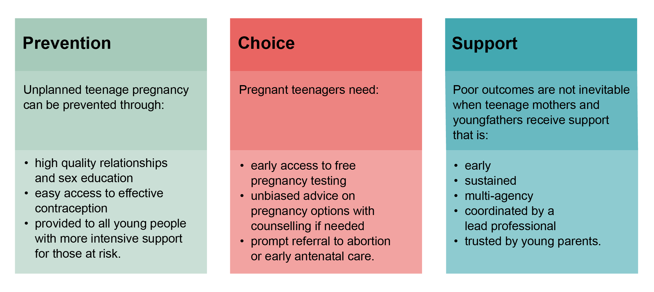 Infographic with three coloured panels titled "Prevention," "Choice," and "Support," outlining strategies to address teenage pregnancy through education, contraception, pregnancy advice, and early sustained support for young parents.