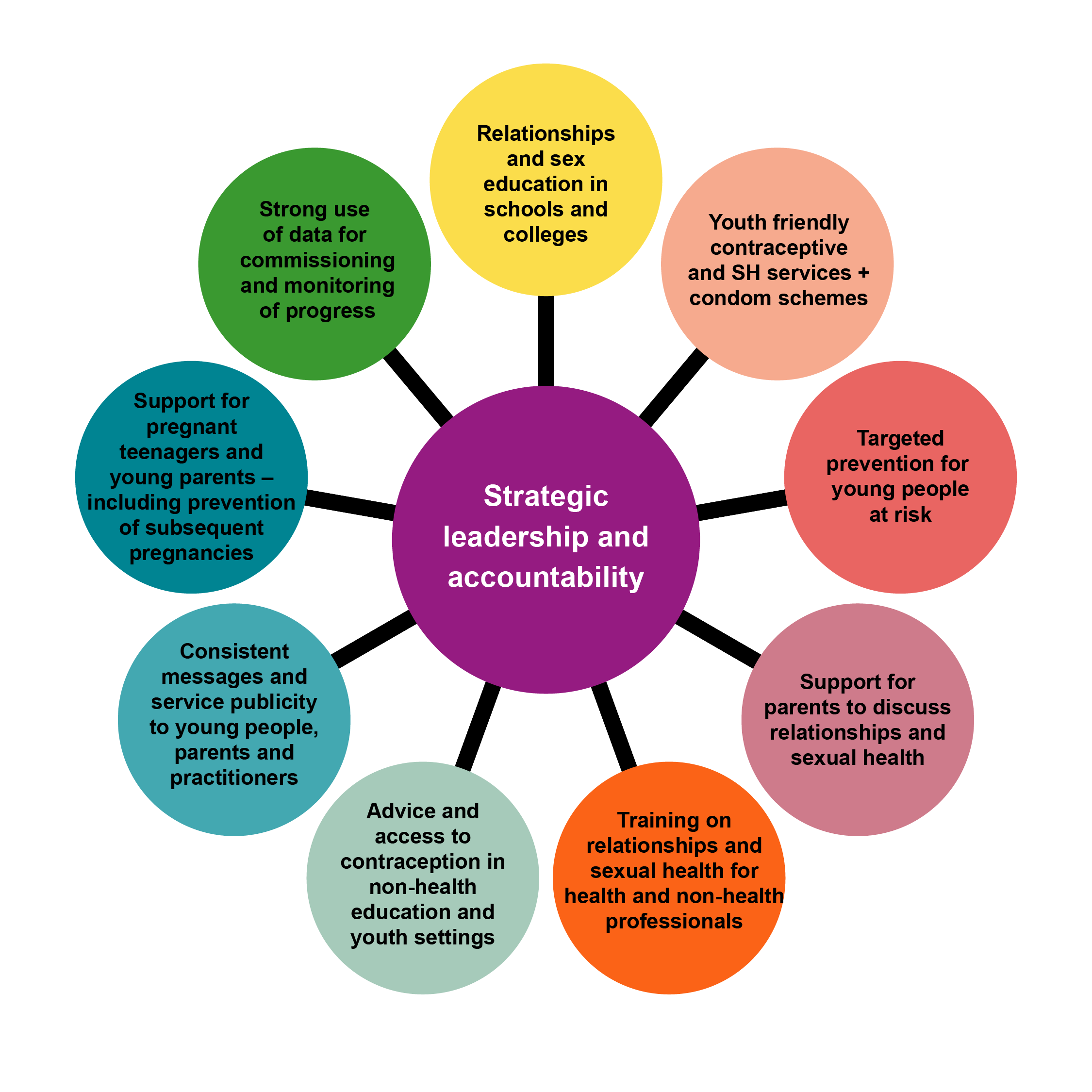 A spider style diagram with ten key factors 