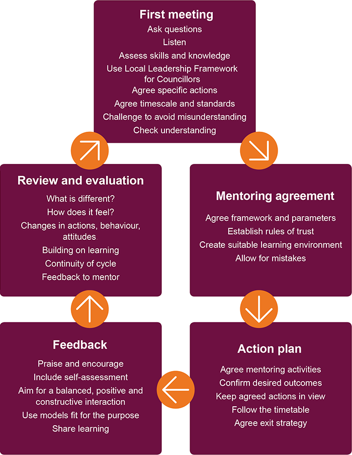 Diagram giving more details on the five stages of planning for mentoring