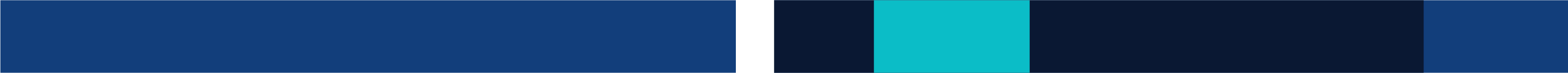 Decorative dark blue banner