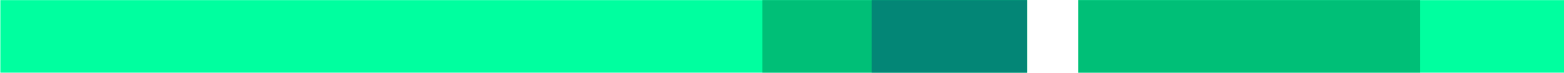 Decorative green banner