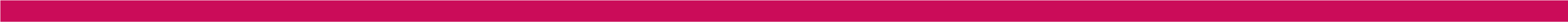 Decorative red banner
