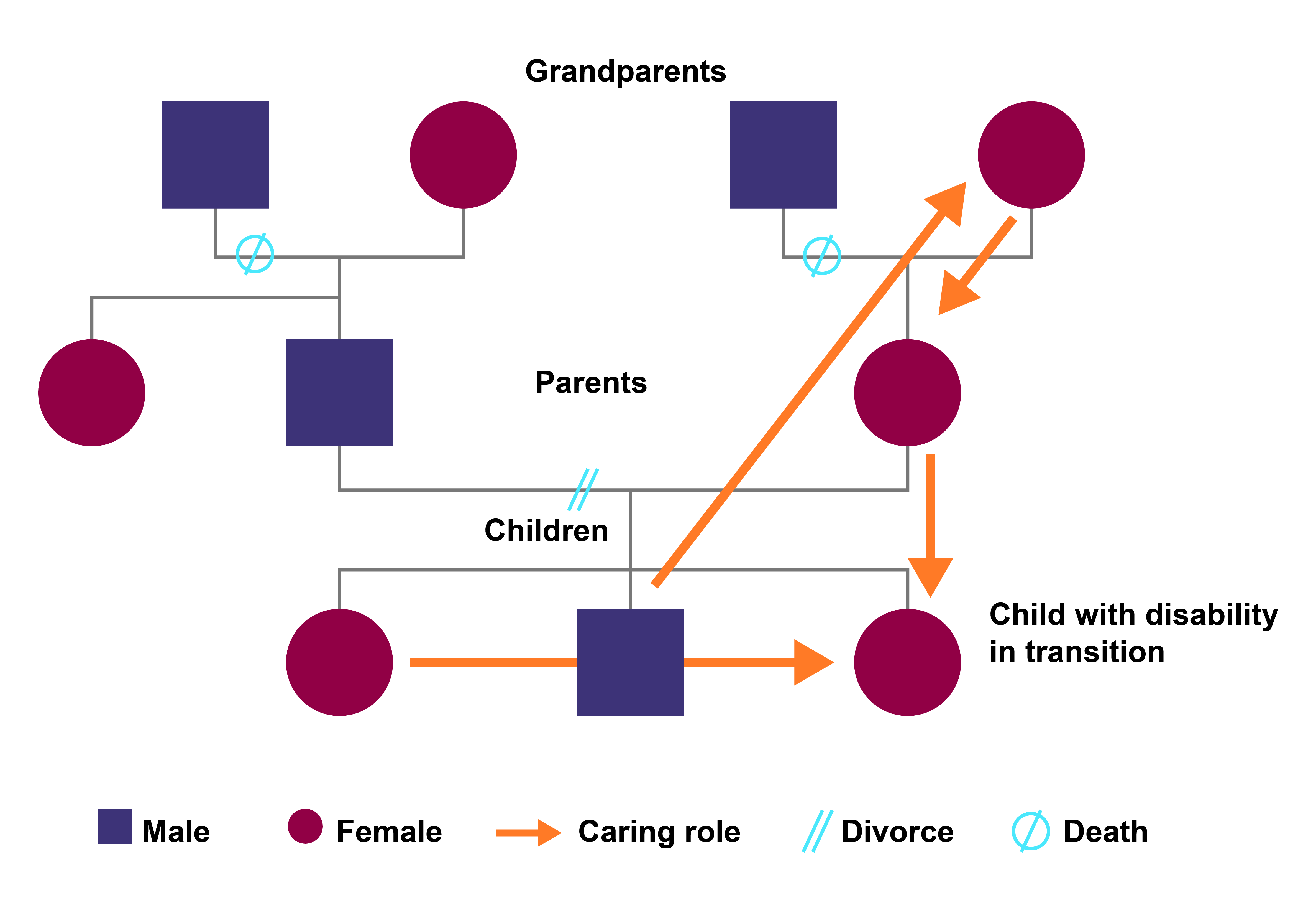 Family diagram showing relationships and transitions. Squares represent males, circles represent females. Arrows indicate caring roles. Blue lines show divorce, and circles with a slash show death. A highlighted path leads to a child with a disability in transition.