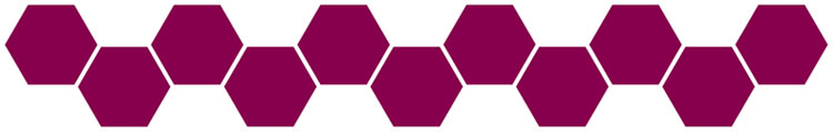 National priorities and partnerships in page chip banner risk-4