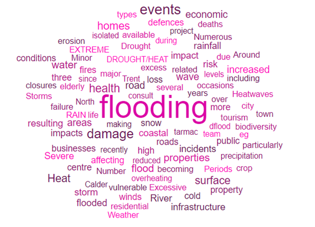 A descriptive wordcloud highlighting the frequency of Table 25 results