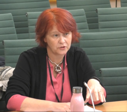 Cllr Liz Green 
