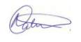 Councillor Nesil Caliskan signature 116 x 60px