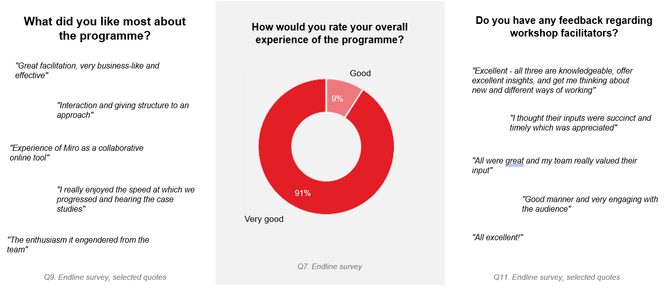 Endline survey: experience of programme