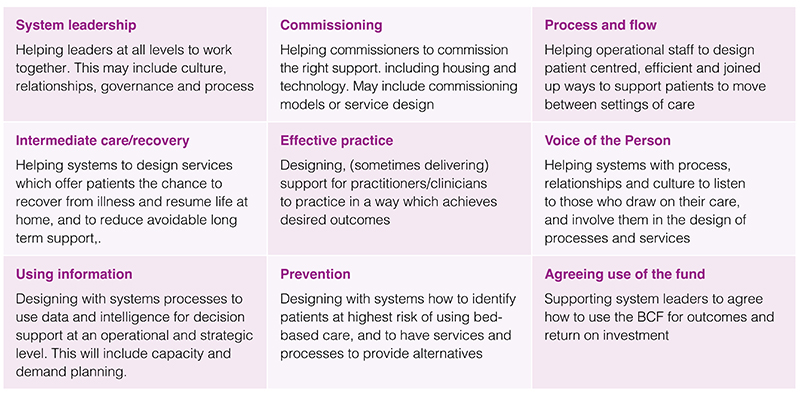 A table of nine boxes with brief information on each example of bespoke support provided through the programme.