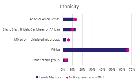 Family Mentor Service workforce ethnicity profile chart 