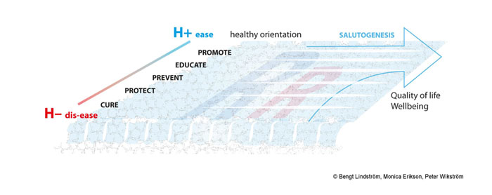Figure 3: The River of Life. Note the vertical right-hand flow in the direction of life towards wellbeing and Quality of life. The image includes Antonovsky´s health continuum H- to H+. R stands for Risk and Resource
