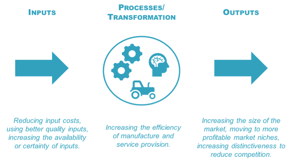 inputs and outputs of productivity