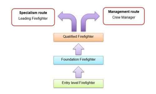 A vertical progression diagram showing firefighter career stages. At the bottom is ‘Entry level Firefighter,’ leading upward to ‘Foundation Firefighter,’ then to ‘Qualified Firefighter.’ From the Qualified Firefighter box, two arrows branch upward: one to the left labelled ‘Specialism route – Leading Firefighter,’ and one to the right labelled ‘Management route – Crew Manager.