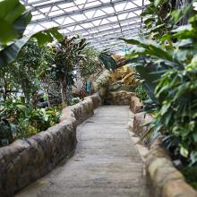 Leeds Tropical World, glass house