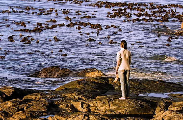 Teenager looking out to sea