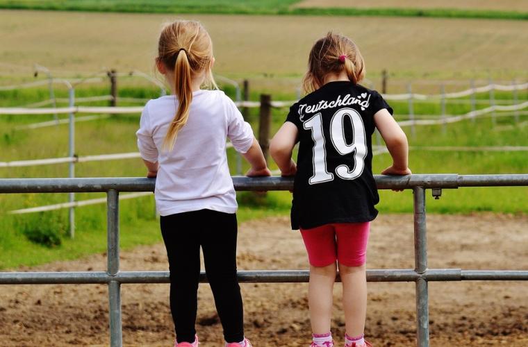 Photo of children looking over a metal fence into a field