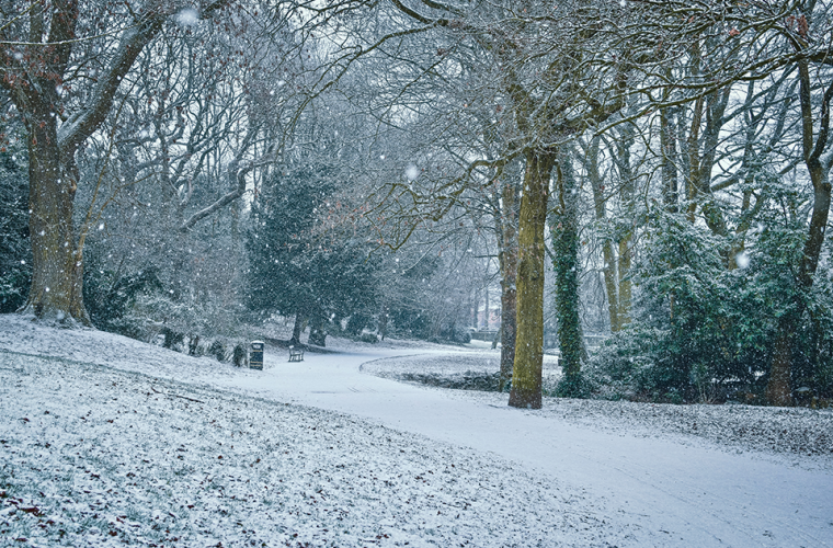 Empty park, snow covers the trees and path