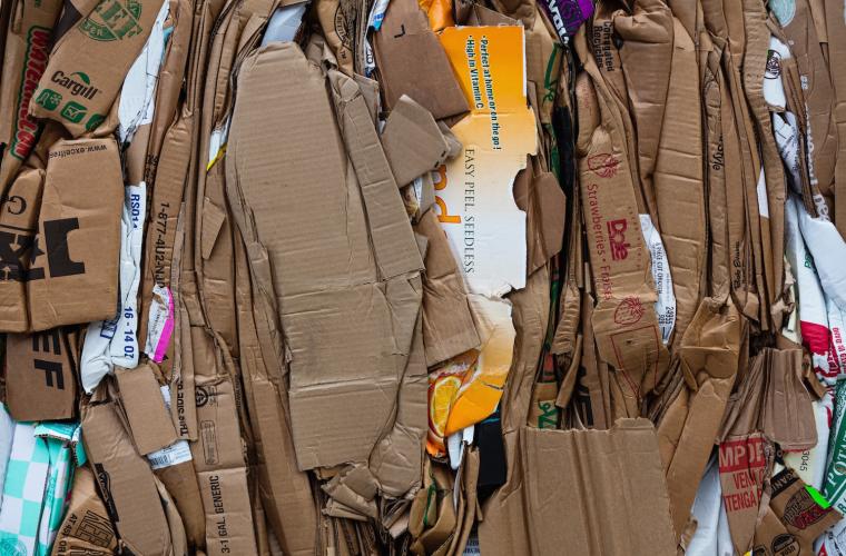 waste