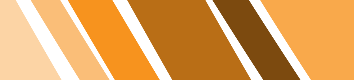 Rethinking Local Housing Banner