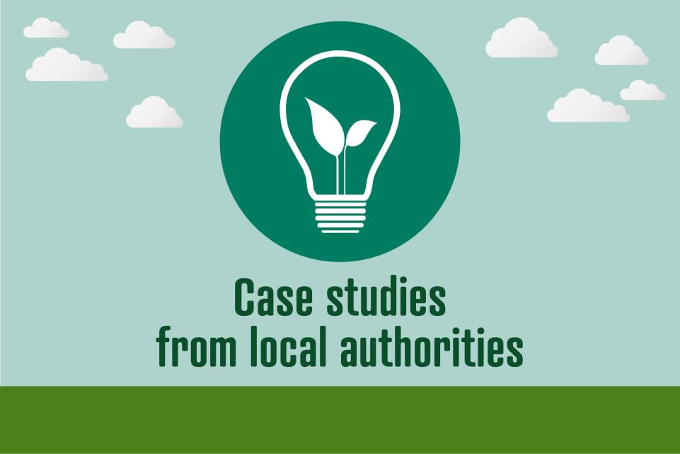 Image of light bulb icon with text below reading 'case studies from local authorities'