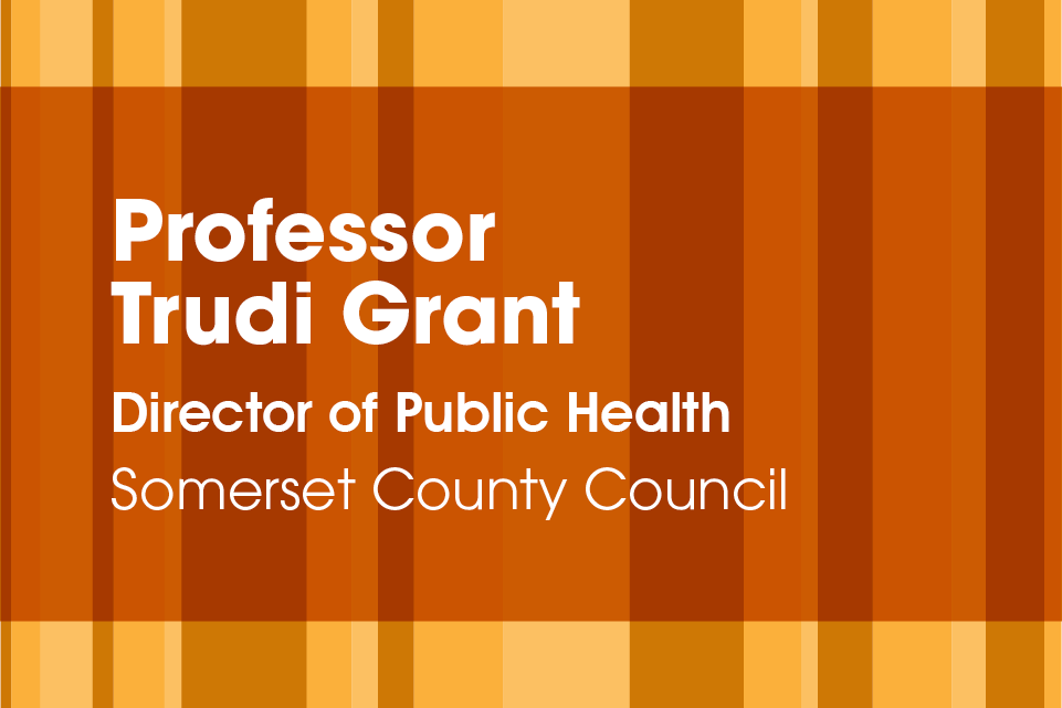 Graph of rectangles with text Professor Trudi Grant, Director of Public Health, Somerset County Council