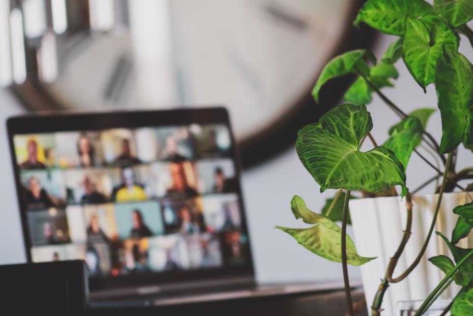 Laptop is open and on a table, the screen is showing lots of different people on a virtual meeting, in the foreground there is a green plant